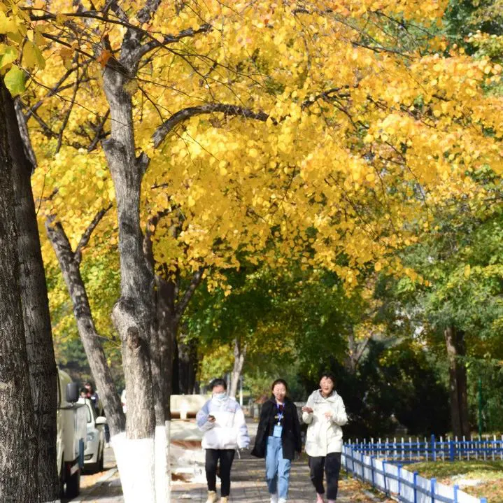 如何制定智能篮球训练计划_2